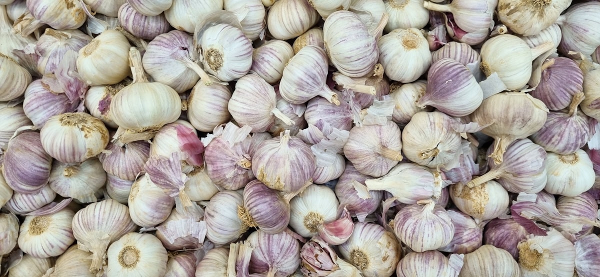 Aglio Bianco